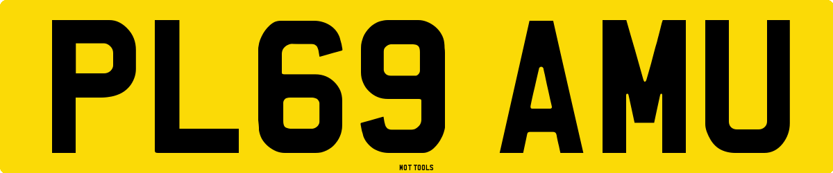 PL69AMU MOT Check