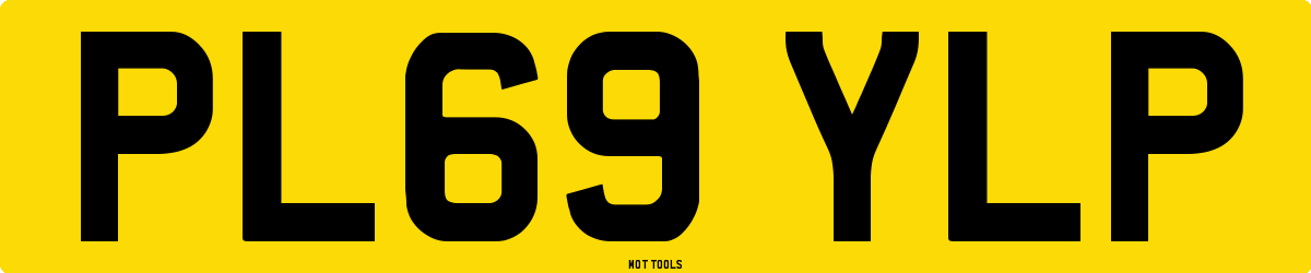 PL69YLP MOT Check
