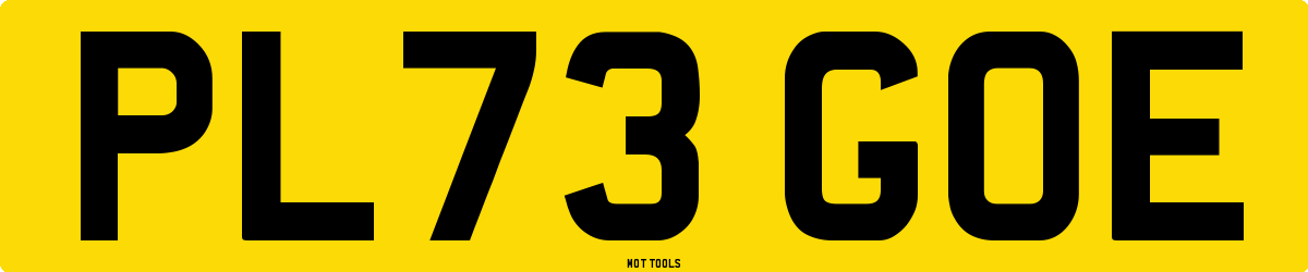 PL73GOE MOT Check