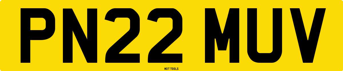 PN22MUV MOT Check