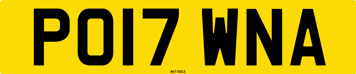 PO17WNA MOT Check