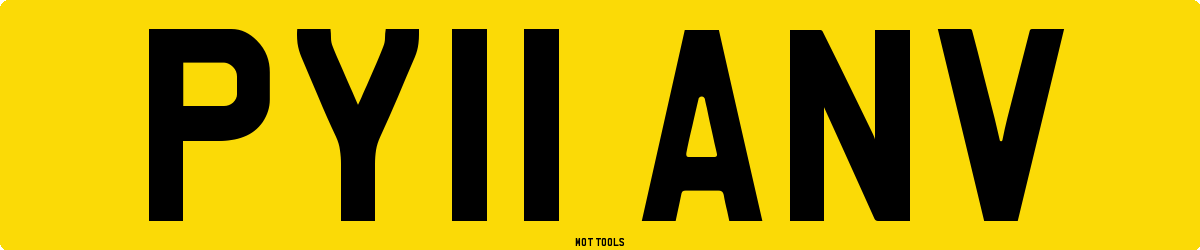 PY11ANV MOT Check