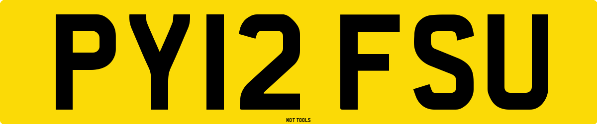 PY12FSU MOT Check