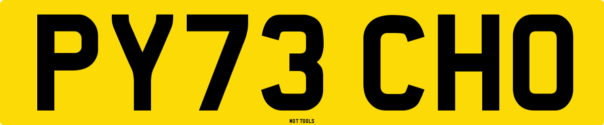 PY73CHO MOT Check