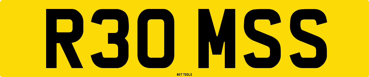 R30MSS MOT Check