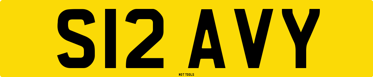 S12AVY MOT Check