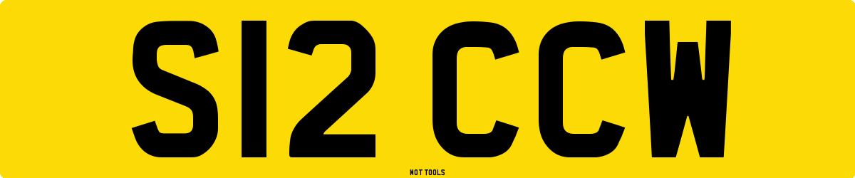 S12CCW MOT Check