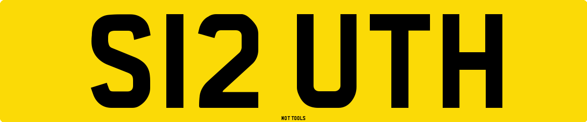 S12UTH MOT Check