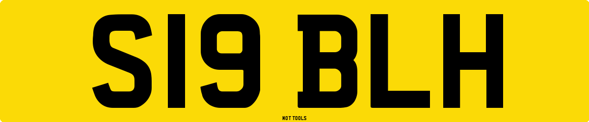 S19BLH MOT Check