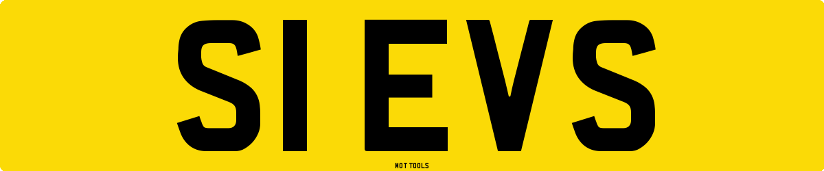 S1EVS MOT Check