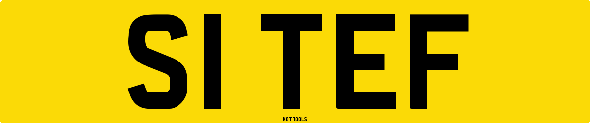 S1TEF MOT Check