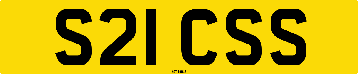 S21CSS MOT Check