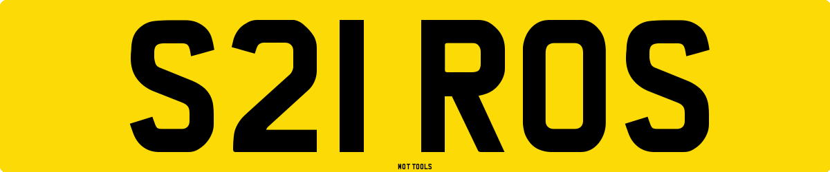 S21ROS MOT Check
