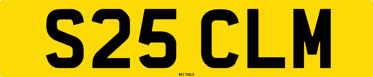 S25CLM MOT Check