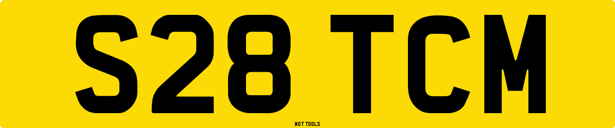 S28TCM MOT Check