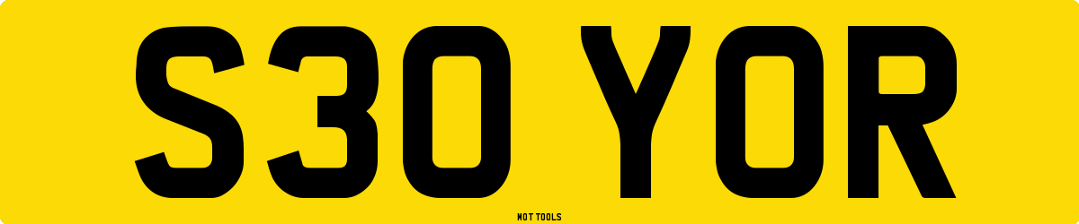 S30YOR MOT Check