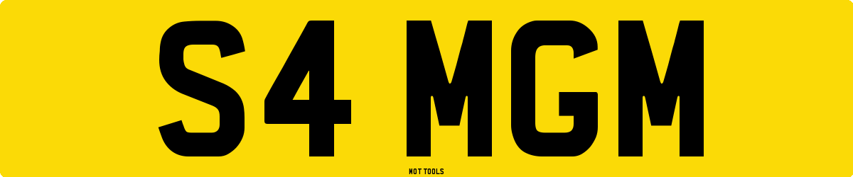 S4MGM MOT Check