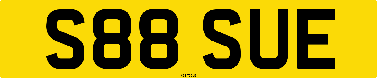 S88SUE MOT Check