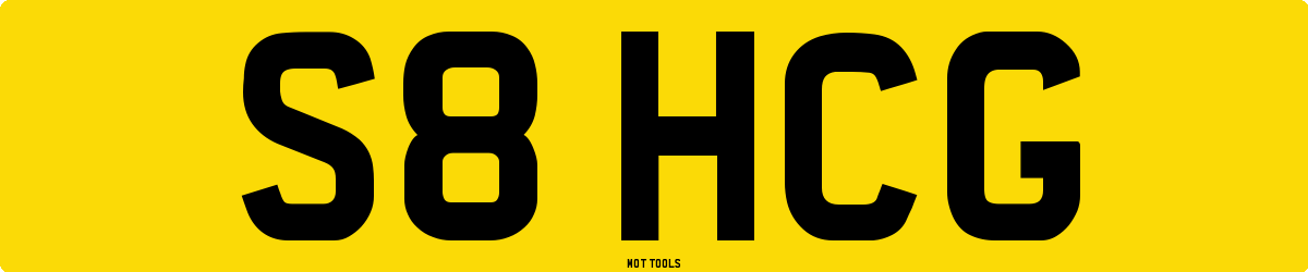 S8HCG MOT Check