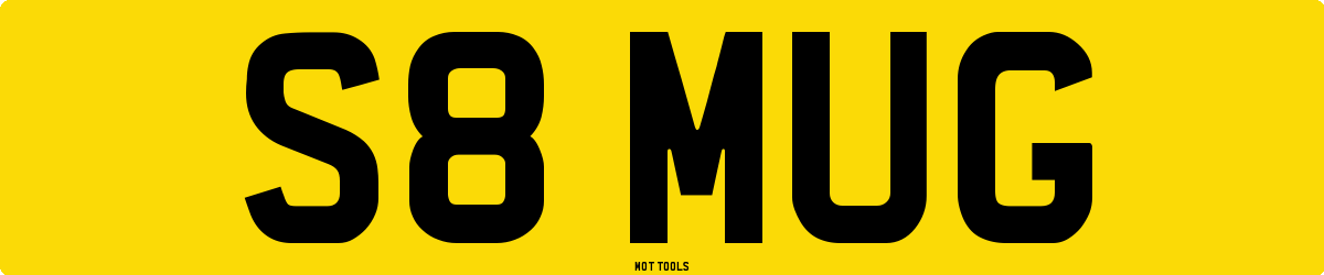 S8MUG MOT Check