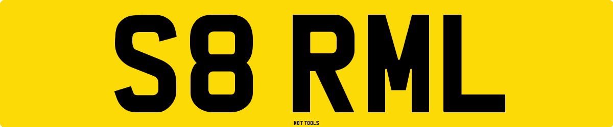 S8RML MOT Check