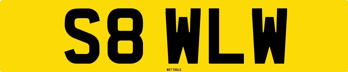 S8WLW MOT Check