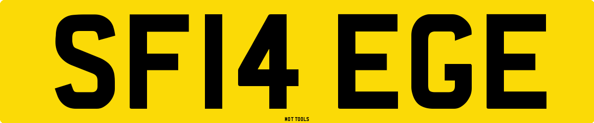 SF14EGE MOT Check