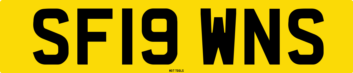 SF19WNS MOT Check