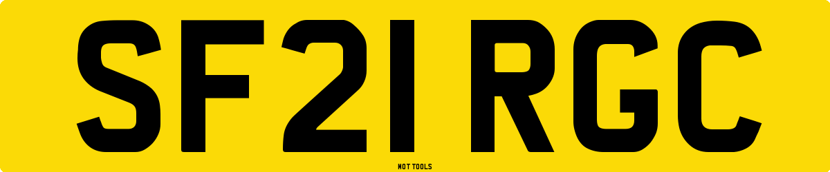 SF21RGC MOT Check