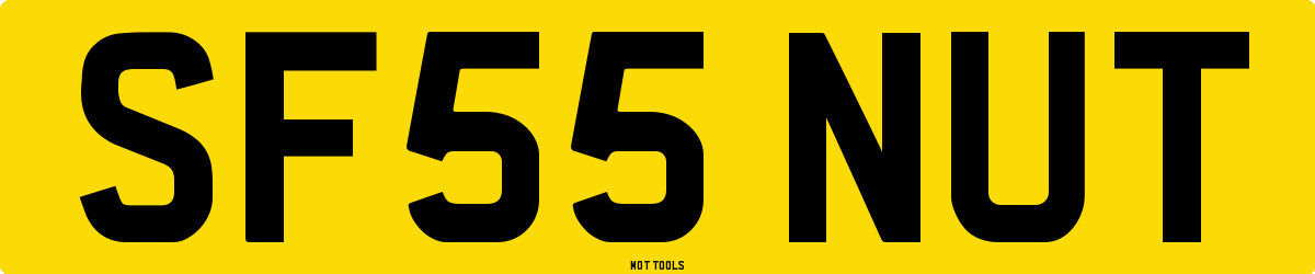 SF55NUT MOT Check