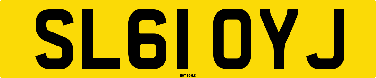 SL61OYJ MOT Check