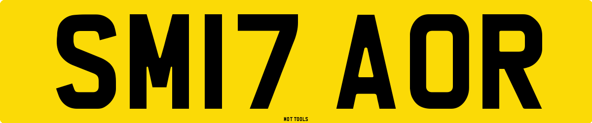 SM17AOR MOT Check