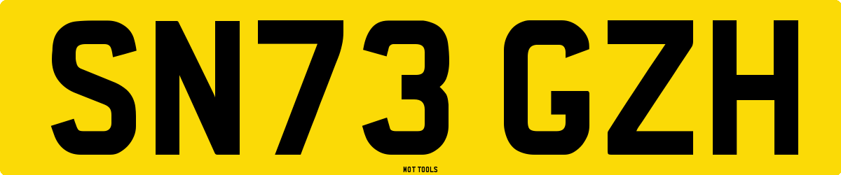 SN73GZH MOT Check