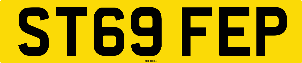ST69FEP MOT Check