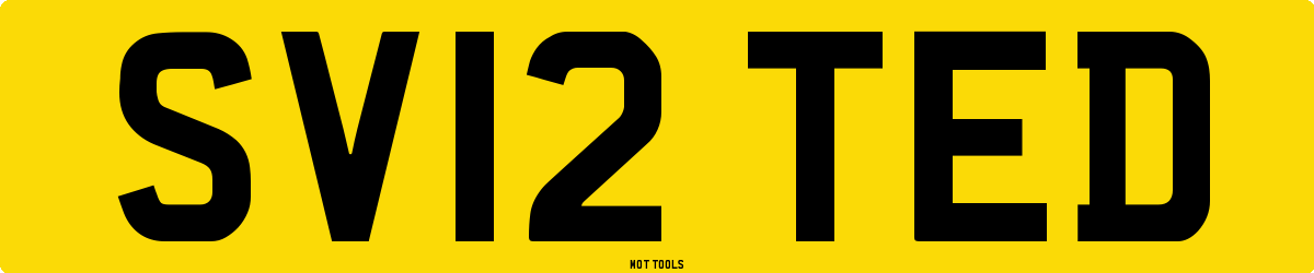 SV12TED MOT Check