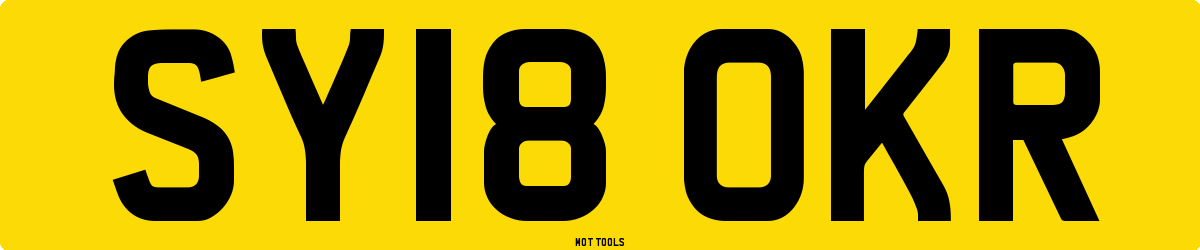 SY18OKR MOT Check
