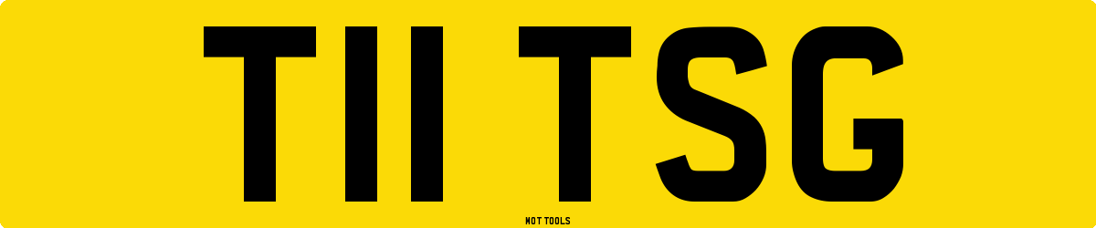 T11TSG MOT Check