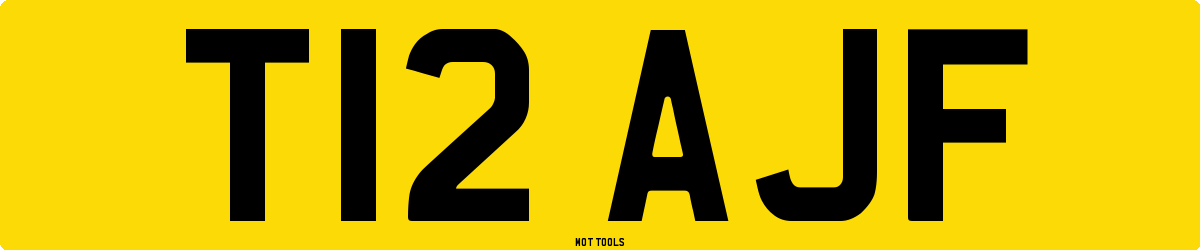 T12AJF MOT Check