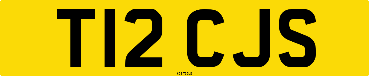 T12CJS MOT Check