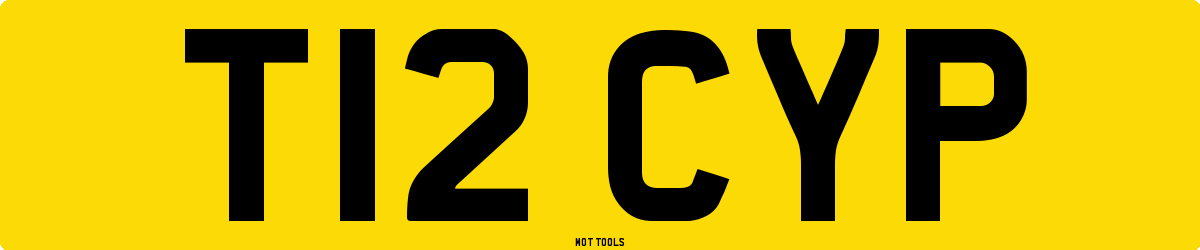 T12CYP MOT Check