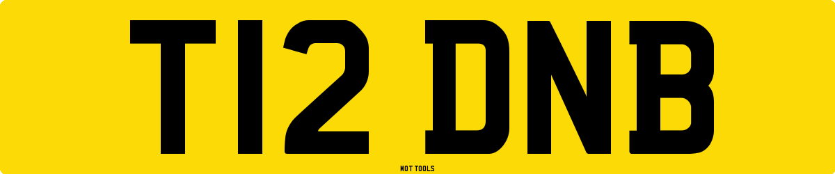 T12DNB MOT Check