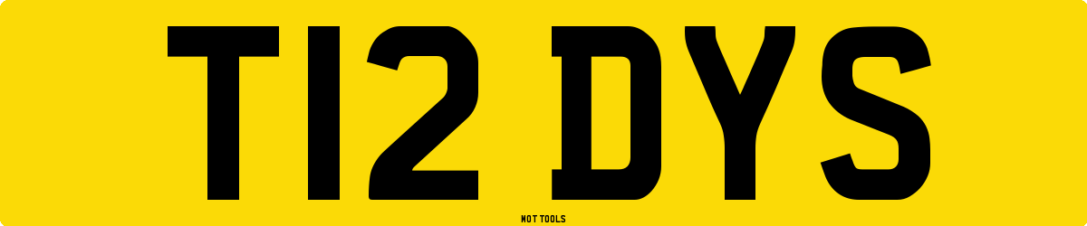 T12DYS MOT Check