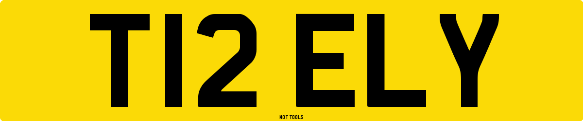 T12ELY MOT Check