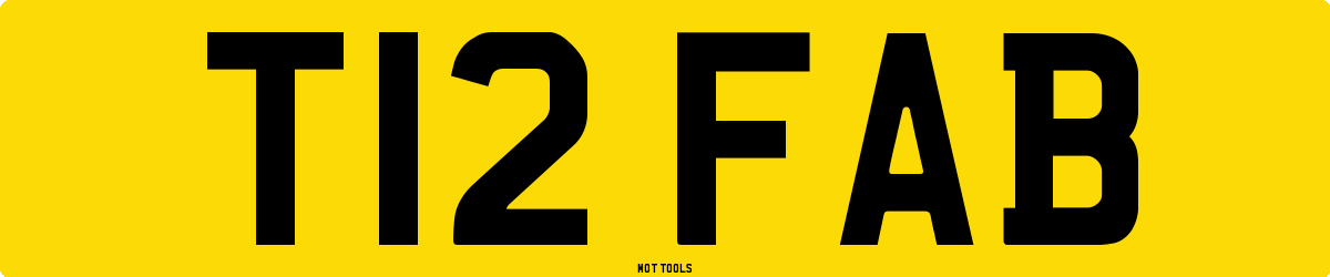 T12FAB MOT Check