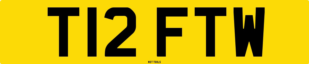 T12FTW MOT Check