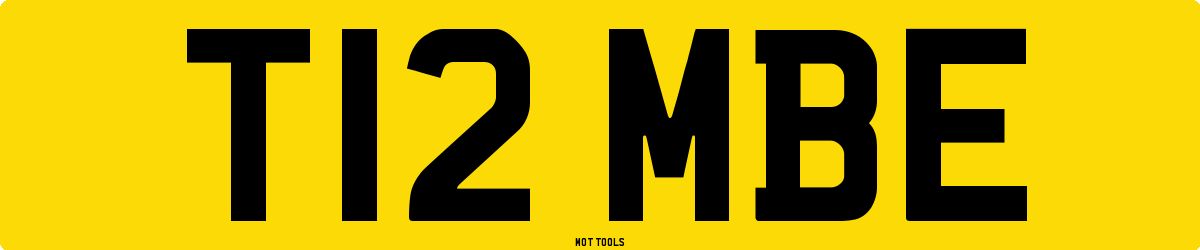 T12MBE MOT Check