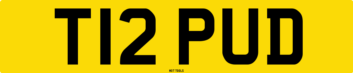 T12PUD MOT Check