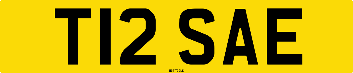 T12SAE MOT Check