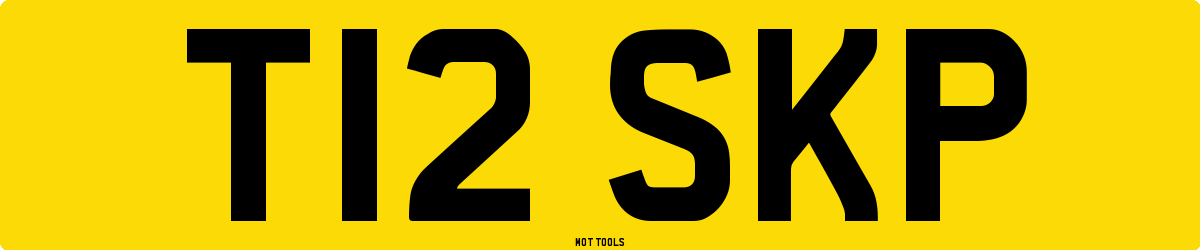 T12SKP MOT Check