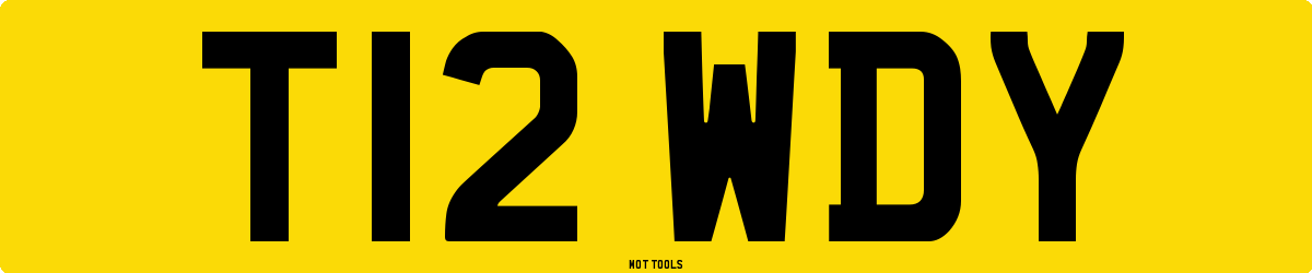 T12WDY MOT Check